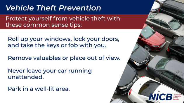 Vehicle theft prevention tips horizontal